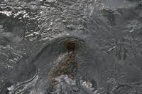 Wasserschildkröte &ndash; &copy; Katja Neumann (Eberhardt TRAVEL)