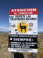 Calafate  &ndash; &copy; Francisco Javier Burgos Gutierrez (Eberhardt TRAVEL)