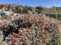 Las Aguilas y los Condores  &ndash; &copy; Francisco Javier Burgos Gutierrez (Eberhardt TRAVEL)