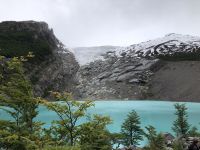 Huemul  &ndash; &copy; Francisco Javier Burgos Gutierrez (Eberhardt TRAVEL)