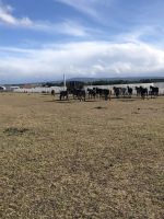 Punta Arenas  &ndash; &copy; Francisco Javier Burgos Gutierrez (Eberhardt TRAVEL)