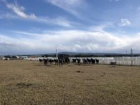 Punta Arenas  &ndash; &copy; Francisco Javier Burgos Gutierrez (Eberhardt TRAVEL)
