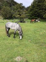 Ushuaia  &ndash; &copy; Francisco Javier Burgos Gutierrez (Eberhardt TRAVEL)