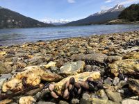 Ushuaia  &ndash; &copy; Francisco Javier Burgos Gutierrez (Eberhardt TRAVEL)