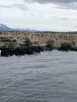 Ushuaia  &ndash; &copy; Francisco Javier Burgos Gutierrez (Eberhardt TRAVEL)
