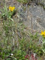 Wanderung zum Cerro Torre &ndash; &copy; Sylvia Sann (Eberhardt TRAVEL)