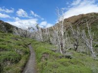 Nationalpark Torres del Paine &ndash; &copy; Sylvia Sann (Eberhardt TRAVEL)