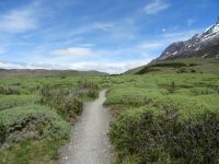 Nationalpark Torres del Paine &ndash; &copy; Sylvia Sann (Eberhardt TRAVEL)