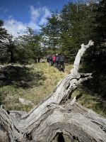 Laguna Torre  &ndash; &copy; Francisco Javier Burgos Gutierrez (Eberhardt TRAVEL)