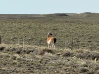 Fahrt nach Chile  &ndash; &copy; Francisco Javier Burgos Gutierrez (Eberhardt TRAVEL)