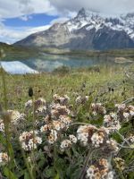 Los cuernos  &ndash; &copy; Francisco Javier Burgos Gutierrez (Eberhardt TRAVEL)