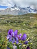 Los cuernos  &ndash; &copy; Francisco Javier Burgos Gutierrez (Eberhardt TRAVEL)