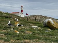 Isla Magdalena  &ndash; &copy; Francisco Javier Burgos Gutierrez (Eberhardt TRAVEL)