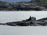 Ushuaia  &ndash; &copy; Francisco Javier Burgos Gutierrez (Eberhardt TRAVEL)
