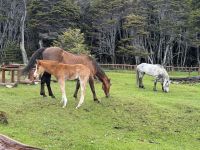 Ushuaia  &ndash; &copy; Francisco Javier Burgos Gutierrez (Eberhardt TRAVEL)