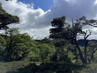 Ushuaia  &ndash; &copy; Francisco Javier Burgos Gutierrez (Eberhardt TRAVEL)
