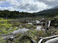 Ushuaia  &ndash; &copy; Francisco Javier Burgos Gutierrez (Eberhardt TRAVEL)