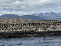 Ushuaia  &ndash; &copy; Francisco Javier Burgos Gutierrez (Eberhardt TRAVEL)