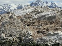 Ushuaia &ndash; &copy; Francisco Javier Burgos Gutierrez (Eberhardt TRAVEL)