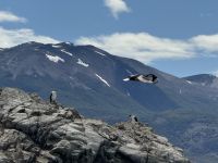 Ushuaia  &ndash; &copy; Francisco Javier Burgos Gutierrez (Eberhardt TRAVEL)