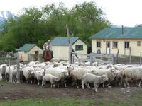 Estancia Nibepo &ndash; &copy; Sandra Winkler (Eberhardt TRAVEL)