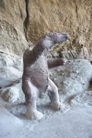 Milodon &ndash; &copy; Sandra Winkler (Eberhardt TRAVEL)