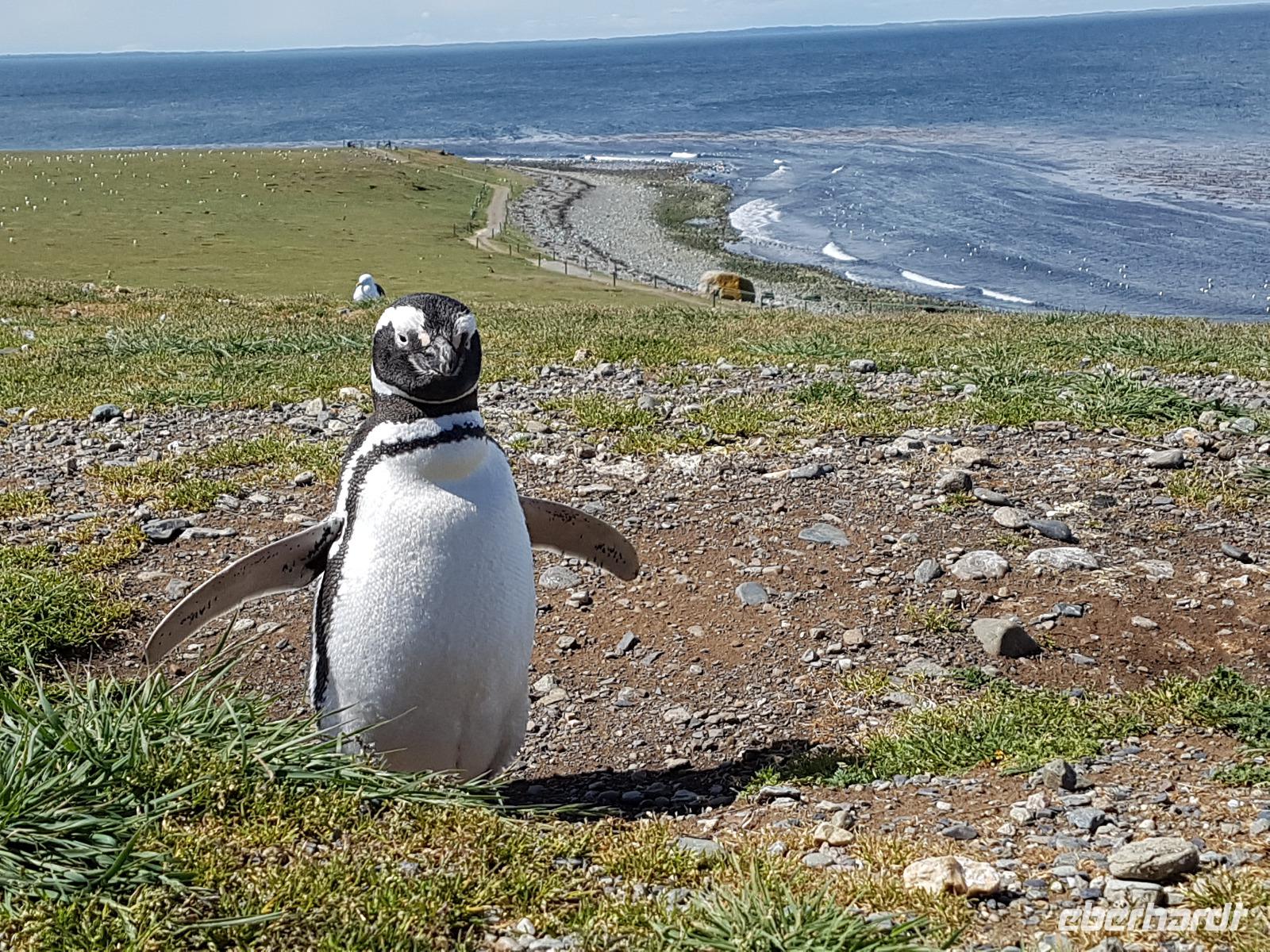 17 Tage Wanderreise Argentinien und Chile – Patagonien und Feuerland mit Buenos Aires – Nationalpark Los Glaciares mit El Chalten und Perito Moreno – Nationalpark Torres del Paine – Feuerland – Ushuaia (699) &ndash; &copy; Benjamin Rodriguez Manzanares (Eberhardt TRAVEL)