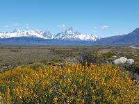 17 Tage Wanderreise Argentinien und Chile – Patagonien und Feuerland mit Buenos Aires – Nationalpark Los Glaciares mit El Chalten und Perito Moreno – Nationalpark Torres del Paine – Feuerland – Ushuaia (75) &ndash; &copy; Benjamin Rodriguez Manzanares (Eberhardt TRAVEL)