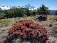 17 Tage Wanderreise Argentinien und Chile – Patagonien und Feuerland mit Buenos Aires – Nationalpark Los Glaciares mit El Chalten und Perito Moreno – Nationalpark Torres del Paine – Feuerland – Ushuaia (89) &ndash; &copy; Benjamin Rodriguez Manzanares (Eberhardt TRAVEL)