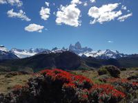 17 Tage Wanderreise Argentinien und Chile – Patagonien und Feuerland mit Buenos Aires – Nationalpark Los Glaciares mit El Chalten und Perito Moreno – Nationalpark Torres del Paine – Feuerland – Ushuaia (99) &ndash; &copy; Benjamin Rodriguez Manzanares (Eberhardt TRAVEL)