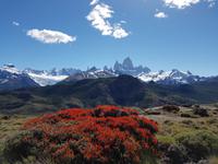 17 Tage Wanderreise Argentinien und Chile – Patagonien und Feuerland mit Buenos Aires – Nationalpark Los Glaciares mit El Chalten und Perito Moreno – Nationalpark Torres del Paine – Feuerland – Ushuaia (103) &ndash; &copy; Benjamin Rodriguez Manzanares (Eberhardt TRAVEL)