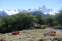 17 Tage Wanderreise Argentinien und Chile – Patagonien und Feuerland mit Buenos Aires – Nationalpark Los Glaciares mit El Chalten und Perito Moreno – Nationalpark Torres del Paine – Feuerland – Ushuaia (128) &ndash; &copy; Benjamin Rodriguez Manzanares (Eberhardt TRAVEL)