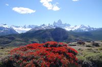 17 Tage Wanderreise Argentinien und Chile – Patagonien und Feuerland mit Buenos Aires – Nationalpark Los Glaciares mit El Chalten und Perito Moreno – Nationalpark Torres del Paine – Feuerland – Ushuaia (138) &ndash; &copy; Benjamin Rodriguez Manzanares (Eberhardt TRAVEL)