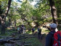 17 Tage Wanderreise Argentinien und Chile – Patagonien und Feuerland mit Buenos Aires – Nationalpark Los Glaciares mit El Chalten und Perito Moreno – Nationalpark Torres del Paine – Feuerland – Ushuaia (149) &ndash; &copy; Benjamin Rodriguez Manzanares (Eberhardt TRAVEL)