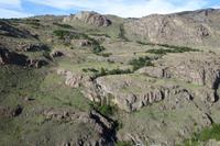 17 Tage Wanderreise Argentinien und Chile – Patagonien und Feuerland mit Buenos Aires – Nationalpark Los Glaciares mit El Chalten und Perito Moreno – Nationalpark Torres del Paine – Feuerland – Ushuaia (241) &ndash; &copy; Benjamin Rodriguez Manzanares (Eberhardt TRAVEL)