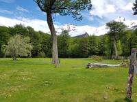 17 Tage Wanderreise Argentinien und Chile – Patagonien und Feuerland mit Buenos Aires – Nationalpark Los Glaciares mit El Chalten und Perito Moreno – Nationalpark Torres del Paine – Feuerland – Ushuaia (278) &ndash; &copy; Benjamin Rodriguez Manzanares (Eberhardt TRAVEL)
