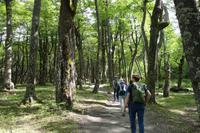17 Tage Wanderreise Argentinien und Chile – Patagonien und Feuerland mit Buenos Aires – Nationalpark Los Glaciares mit El Chalten und Perito Moreno – Nationalpark Torres del Paine – Feuerland – Ushuaia (291) &ndash; &copy; Benjamin Rodriguez Manzanares (Eberhardt TRAVEL)