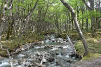 17 Tage Wanderreise Argentinien und Chile – Patagonien und Feuerland mit Buenos Aires – Nationalpark Los Glaciares mit El Chalten und Perito Moreno – Nationalpark Torres del Paine – Feuerland – Ushuaia (292) &ndash; &copy; Benjamin Rodriguez Manzanares (Eberhardt TRAVEL)