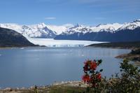 17 Tage Wanderreise Argentinien und Chile – Patagonien und Feuerland mit Buenos Aires – Nationalpark Los Glaciares mit El Chalten und Perito Moreno – Nationalpark Torres del Paine – Feuerland – Ushuaia (377) &ndash; &copy; Benjamin Rodriguez Manzanares (Eberhardt TRAVEL)