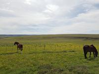 17 Tage Wanderreise Argentinien und Chile – Patagonien und Feuerland mit Buenos Aires – Nationalpark Los Glaciares mit El Chalten und Perito Moreno – Nationalpark Torres del Paine – Feuerland – Ushuaia (453) &ndash; &copy; Benjamin Rodriguez Manzanares (Eberhardt TRAVEL)