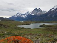 17 Tage Wanderreise Argentinien und Chile – Patagonien und Feuerland mit Buenos Aires – Nationalpark Los Glaciares mit El Chalten und Perito Moreno – Nationalpark Torres del Paine – Feuerland – Ushuaia (473) &ndash; &copy; Benjamin Rodriguez Manzanares (Eberhardt TRAVEL)