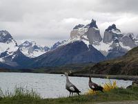 17 Tage Wanderreise Argentinien und Chile – Patagonien und Feuerland mit Buenos Aires – Nationalpark Los Glaciares mit El Chalten und Perito Moreno – Nationalpark Torres del Paine – Feuerland – Ushuaia (505) &ndash; &copy; Benjamin Rodriguez Manzanares (Eberhardt TRAVEL)
