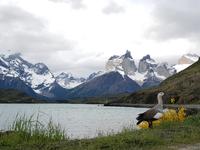 17 Tage Wanderreise Argentinien und Chile – Patagonien und Feuerland mit Buenos Aires – Nationalpark Los Glaciares mit El Chalten und Perito Moreno – Nationalpark Torres del Paine – Feuerland – Ushuaia (508) &ndash; &copy; Benjamin Rodriguez Manzanares (Eberhardt TRAVEL)