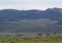 17 Tage Wanderreise Argentinien und Chile – Patagonien und Feuerland mit Buenos Aires – Nationalpark Los Glaciares mit El Chalten und Perito Moreno – Nationalpark Torres del Paine – Feuerland – Ushuaia (519) &ndash; &copy; Benjamin Rodriguez Manzanares (Eberhardt TRAVEL)