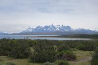 17 Tage Wanderreise Argentinien und Chile – Patagonien und Feuerland mit Buenos Aires – Nationalpark Los Glaciares mit El Chalten und Perito Moreno – Nationalpark Torres del Paine – Feuerland – Ushuaia (524) &ndash; &copy; Benjamin Rodriguez Manzanares (Eberhardt TRAVEL)