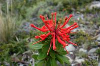 17 Tage Wanderreise Argentinien und Chile – Patagonien und Feuerland mit Buenos Aires – Nationalpark Los Glaciares mit El Chalten und Perito Moreno – Nationalpark Torres del Paine – Feuerland – Ushuaia (548) &ndash; &copy; Benjamin Rodriguez Manzanares (Eberhardt TRAVEL)