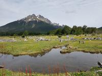 17 Tage Wanderreise Argentinien und Chile – Patagonien und Feuerland mit Buenos Aires – Nationalpark Los Glaciares mit El Chalten und Perito Moreno – Nationalpark Torres del Paine – Feuerland – Ushuaia (793) &ndash; &copy; Benjamin Rodriguez Manzanares (Eberhardt TRAVEL)