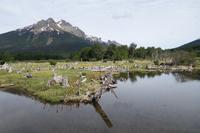 17 Tage Wanderreise Argentinien und Chile – Patagonien und Feuerland mit Buenos Aires – Nationalpark Los Glaciares mit El Chalten und Perito Moreno – Nationalpark Torres del Paine – Feuerland – Ushuaia (814) &ndash; &copy; Benjamin Rodriguez Manzanares (Eberhardt TRAVEL)