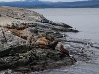17 Tage Wanderreise Argentinien und Chile – Patagonien und Feuerland mit Buenos Aires – Nationalpark Los Glaciares mit El Chalten und Perito Moreno – Nationalpark Torres del Paine – Feuerland – Ushuaia (858) &ndash; &copy; Benjamin Rodriguez Manzanares (Eberhardt TRAVEL)