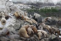 17 Tage Wanderreise Argentinien und Chile – Patagonien und Feuerland mit Buenos Aires – Nationalpark Los Glaciares mit El Chalten und Perito Moreno – Nationalpark Torres del Paine – Feuerland – Ushuaia (872) &ndash; &copy; Benjamin Rodriguez Manzanares (Eberhardt TRAVEL)
